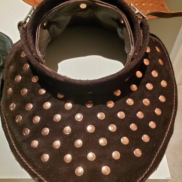 Burgundian Gorget - Image 8