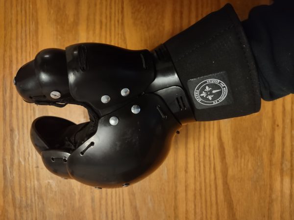Raphael HEMA Gauntlets - Image 5